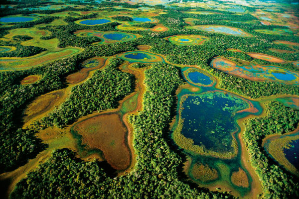 Baias e salinas na região do Rio Negro Mato Grosso do Sul

maio de 2000