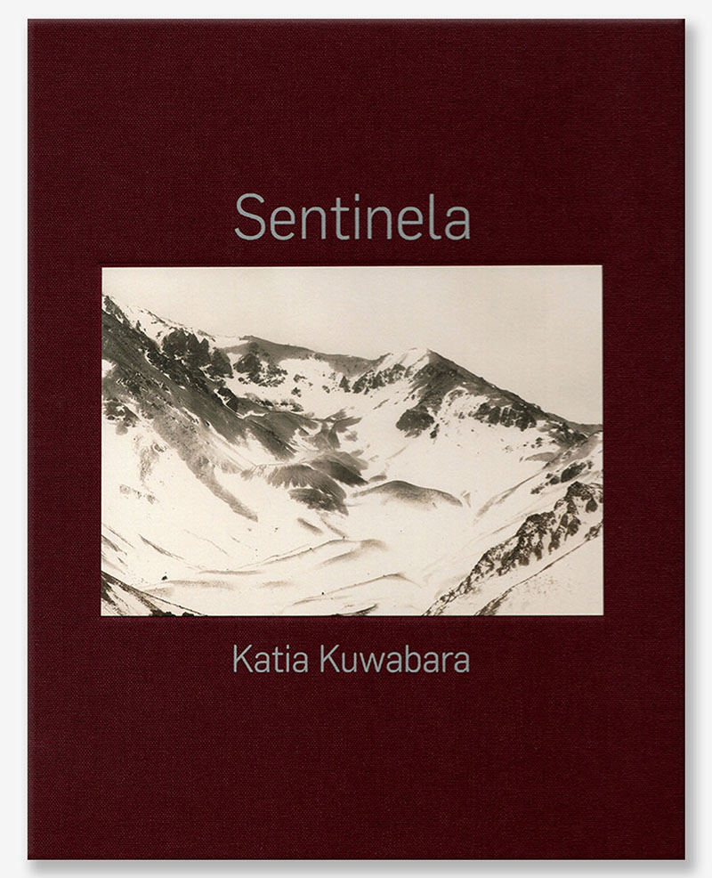 Capa do livro Sentinela